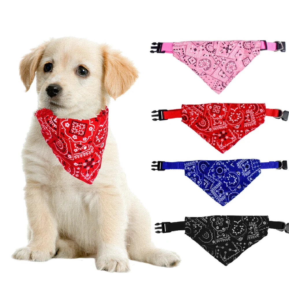 Colar de bandana para animais