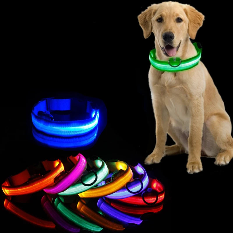 Colar de led para animais