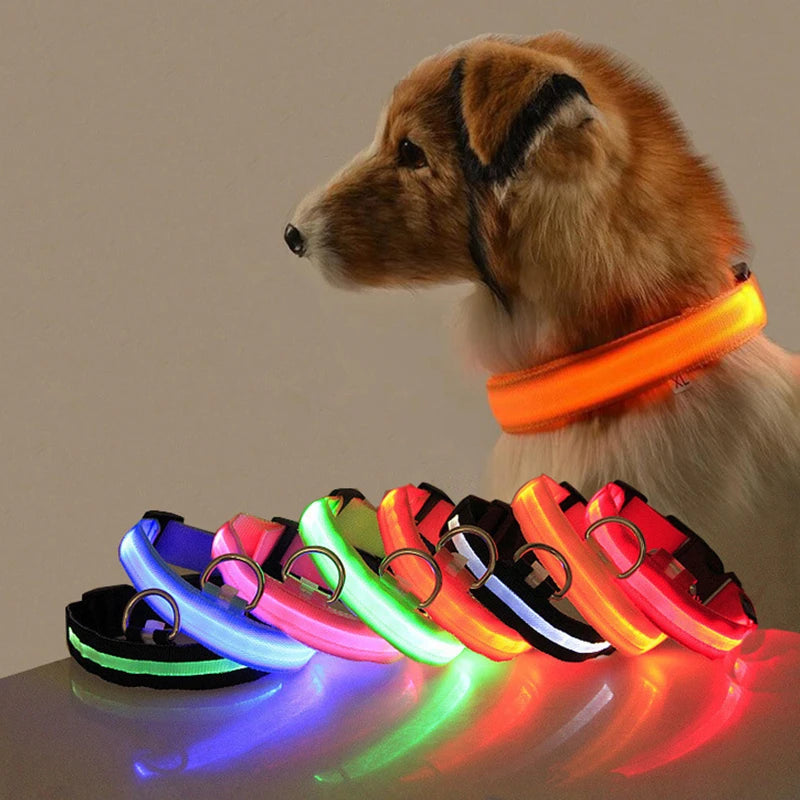 Colar de led para animais